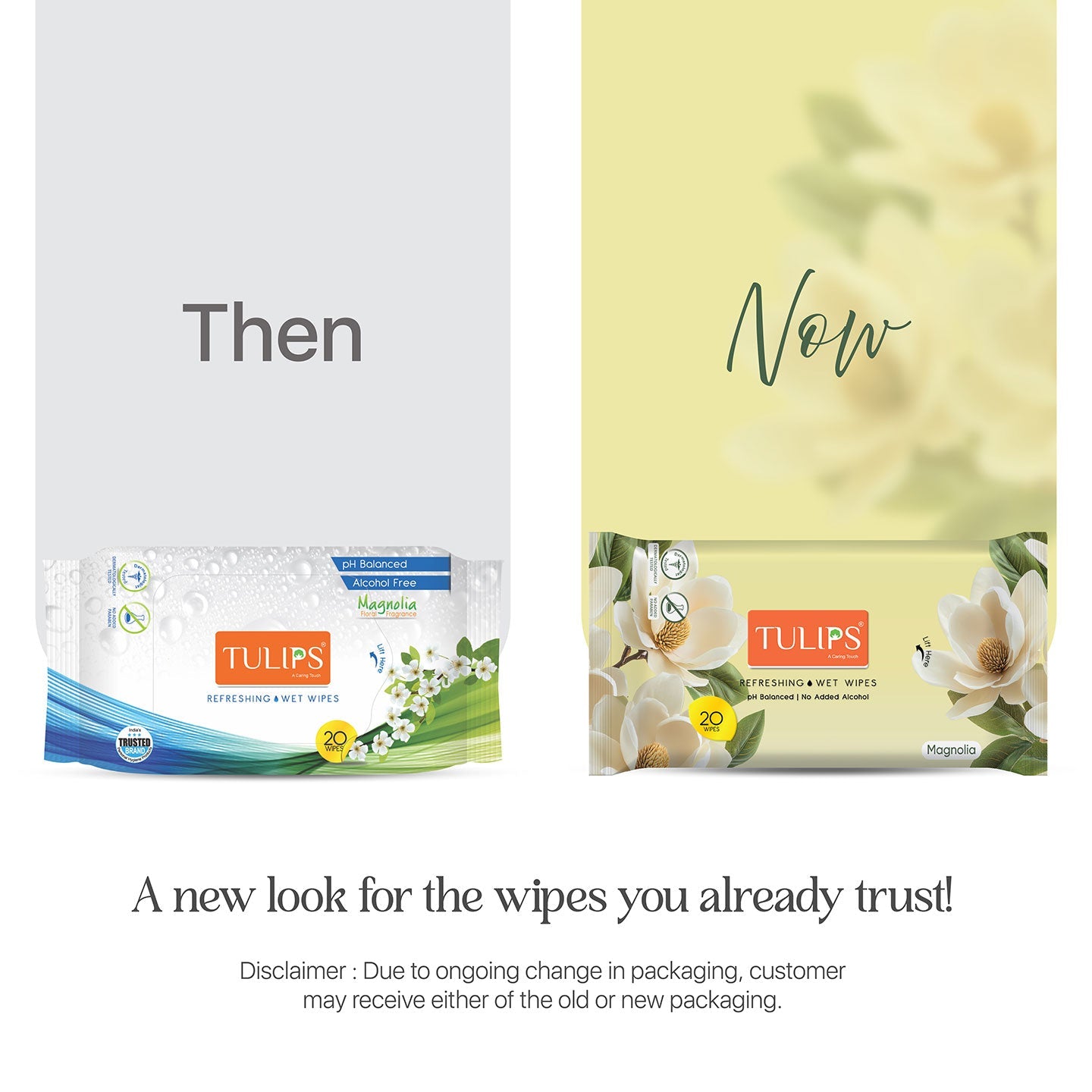 Refreshing Wet Wipes, Magnolia (20 Wipes in a Resealable Bag)