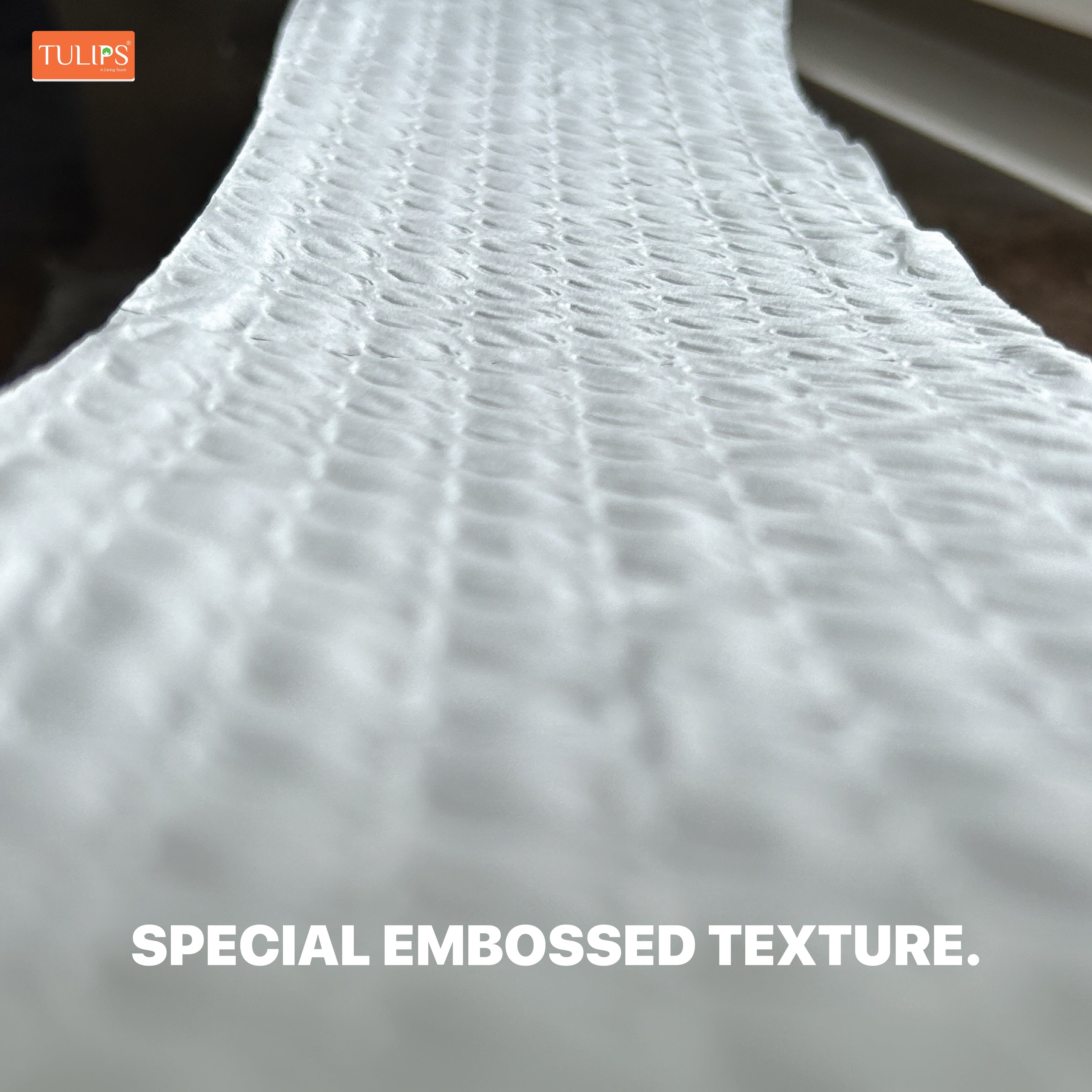 Toilet Roll (300 Pulls I 3 Ply)