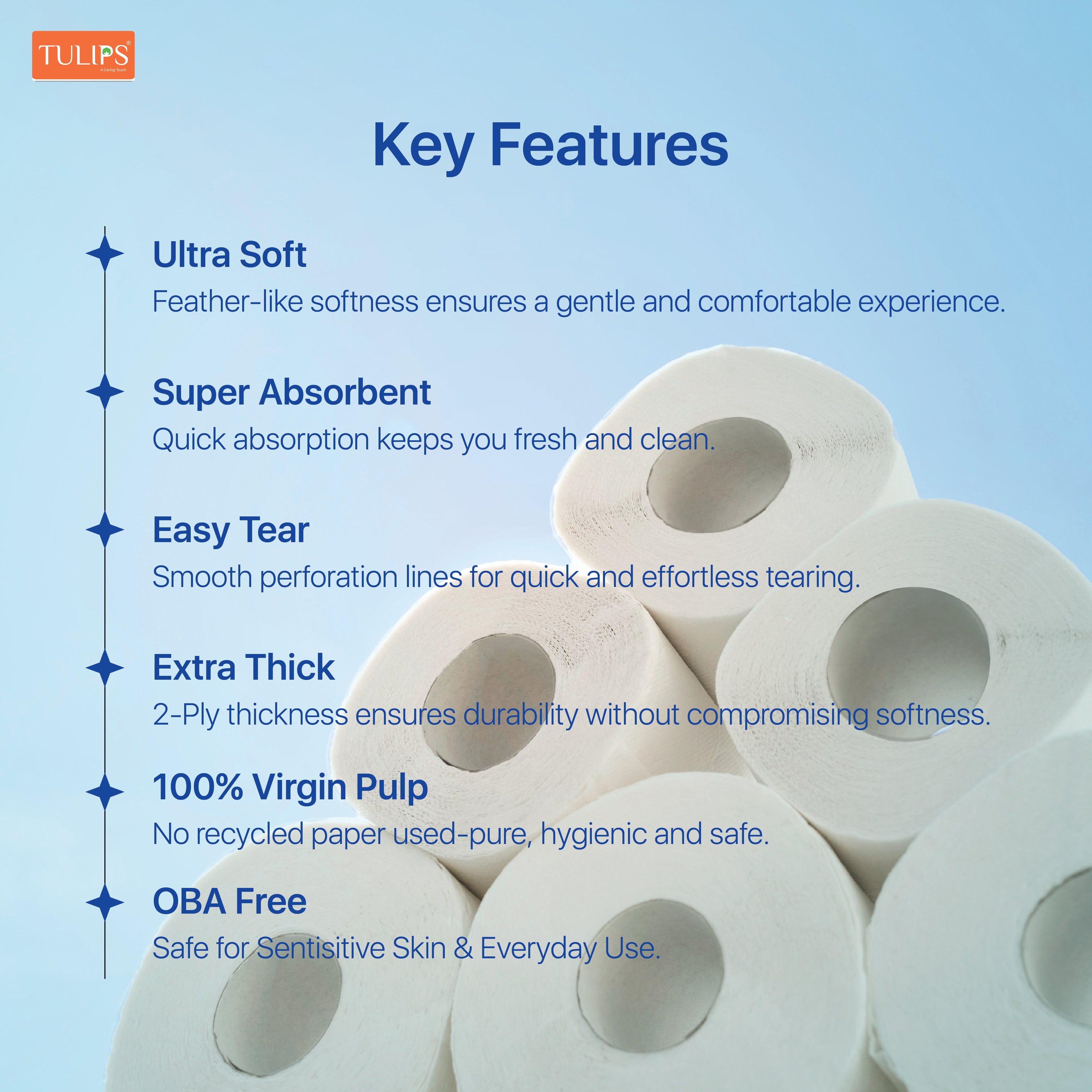 Toilet Roll (300 Pulls I 3 Ply)