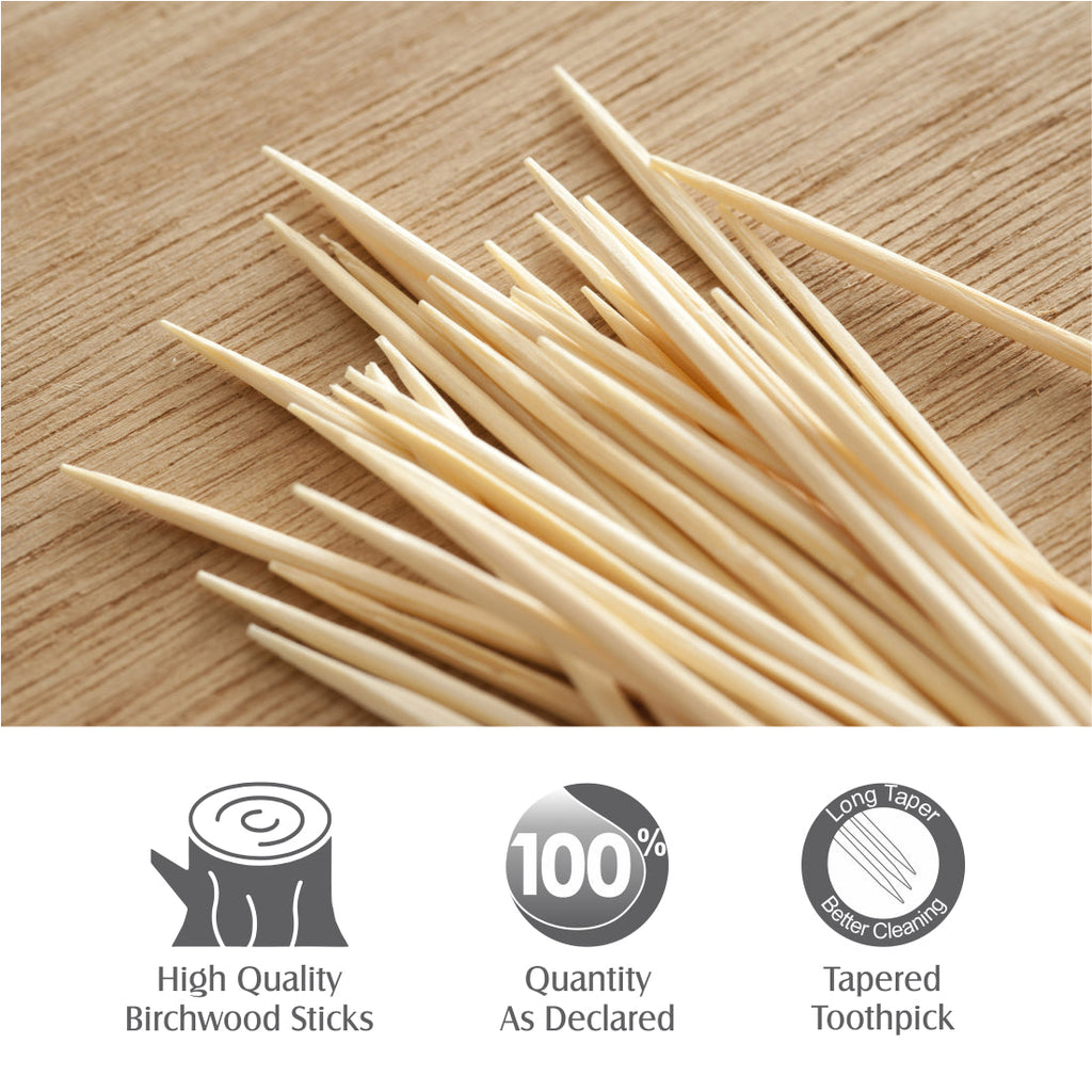 Wooden Toothpicks (240 Sticks in a Jar)