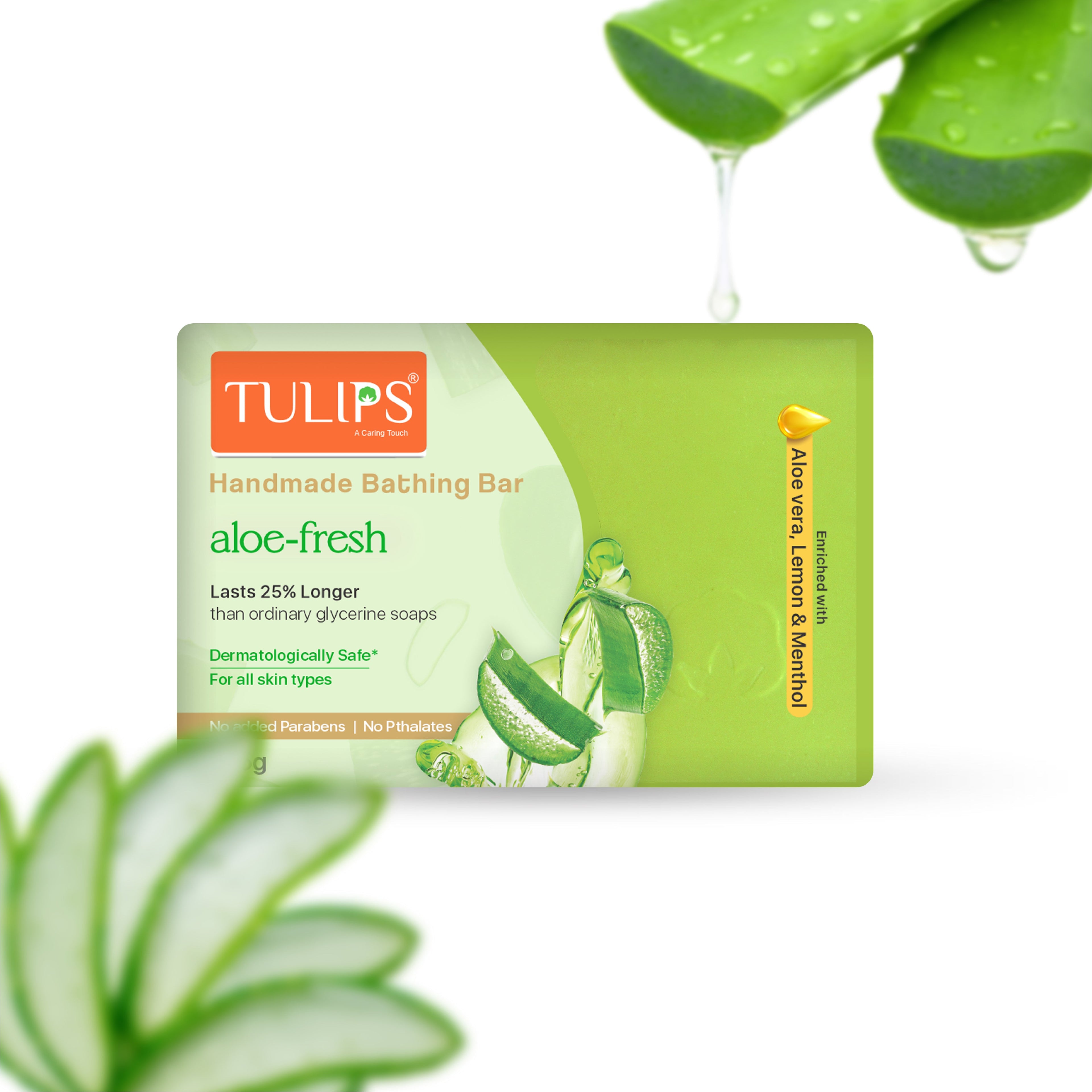bathing with aloe vera plant Handmade Bathing Bar – Aloe Fresh (125g) – Tulips Hygiene