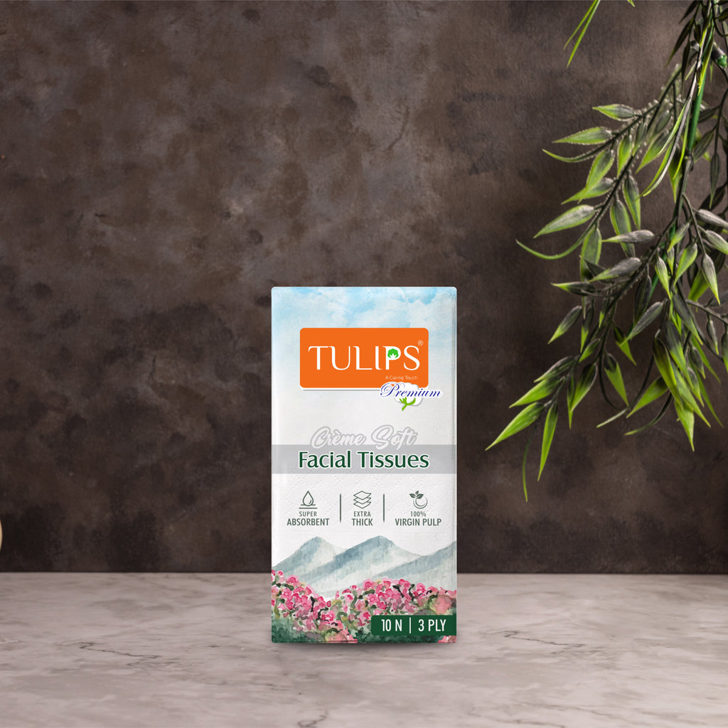 Creme Soft Pocket Tissue Paper (3 Ply,  10 Pulls