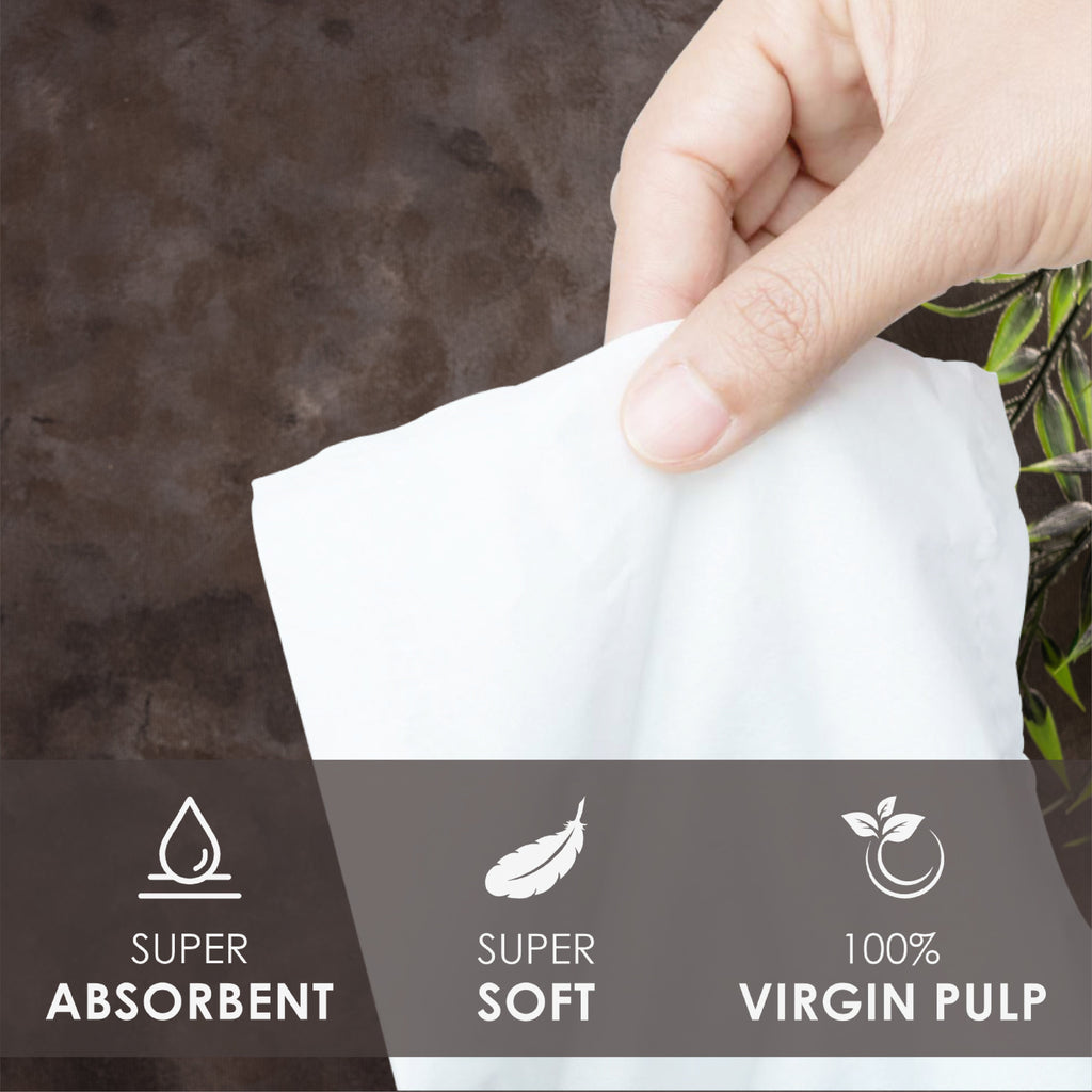 Creme Soft Pocket Tissue Paper (3 Ply,  10 Pulls