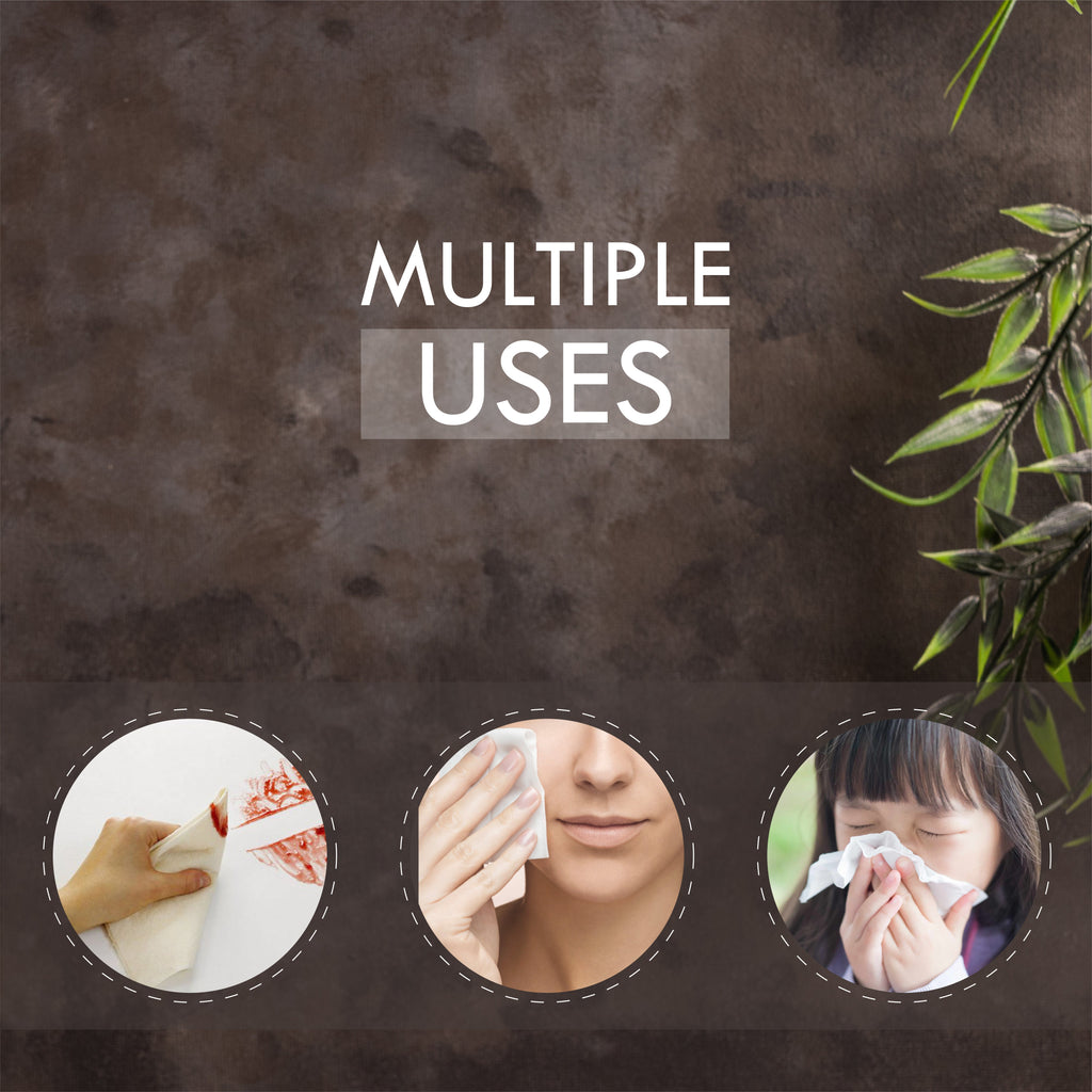 Creme Soft Pocket Tissue Paper (3 Ply,  10 Pulls