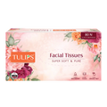 Premium Facial Tissue Paper (3 Ply, 80 Pulls)