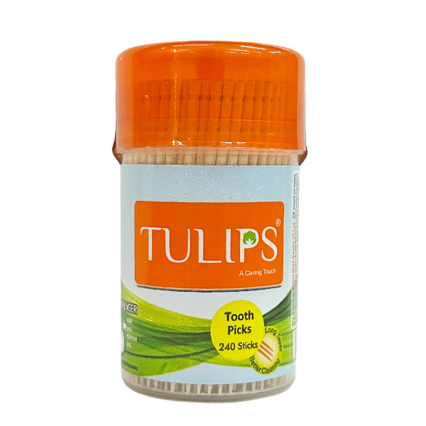 Wooden Toothpicks (240 Sticks in a Jar)