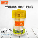 Premium Wooden Toothpicks (250 Sticks in a Jar)