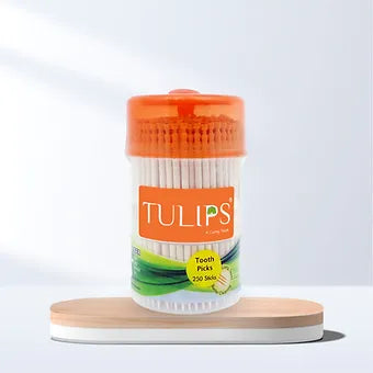 Wooden Toothpicks (240 Sticks in a Jar)