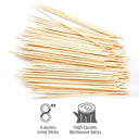 Wooden Skewers (100 Sticks in a Packet)