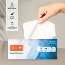 Facial Tissue Paper (2 Ply, 200 Pulls) (Color Variant)