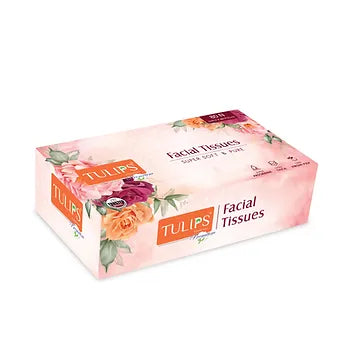 Premium Facial Tissue Paper (3 Ply, 80 Pulls)